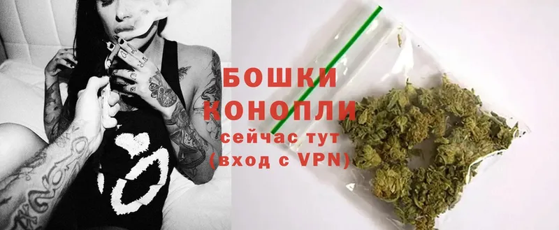 магазин продажи наркотиков  omg как войти  Конопля SATIVA & INDICA  Гуково 